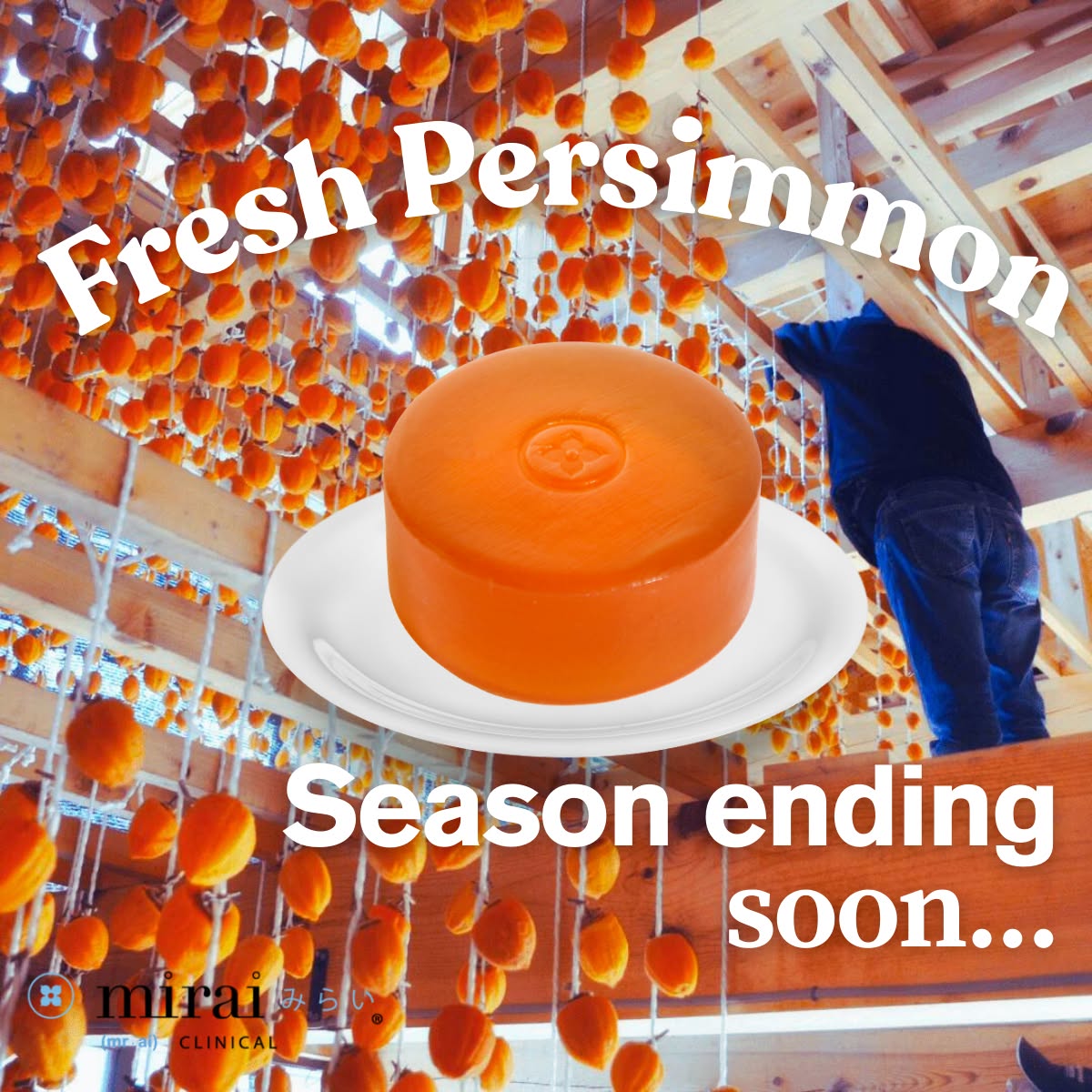 V6 · Fresh Persimmon Season Ending Soon ad